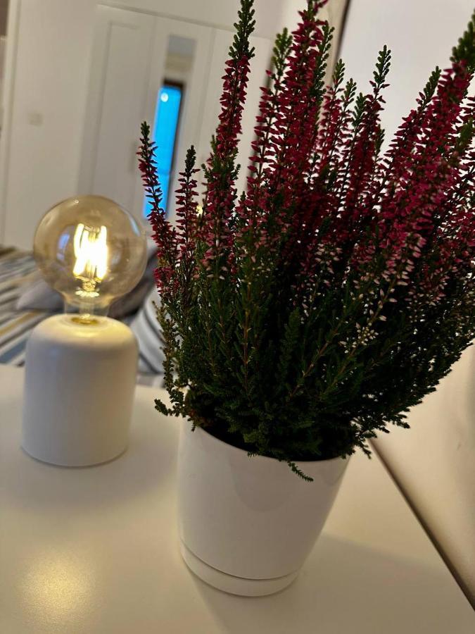 Apartament Centrum, Miejsce Parkingowe W Cenie Βαρσοβία Εξωτερικό φωτογραφία